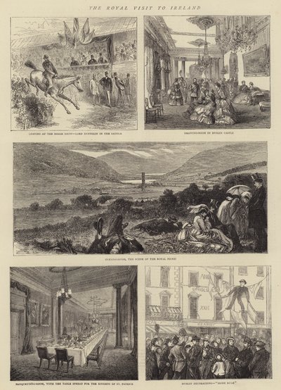 The Royal Visit to Ireland by Francis S. Walker